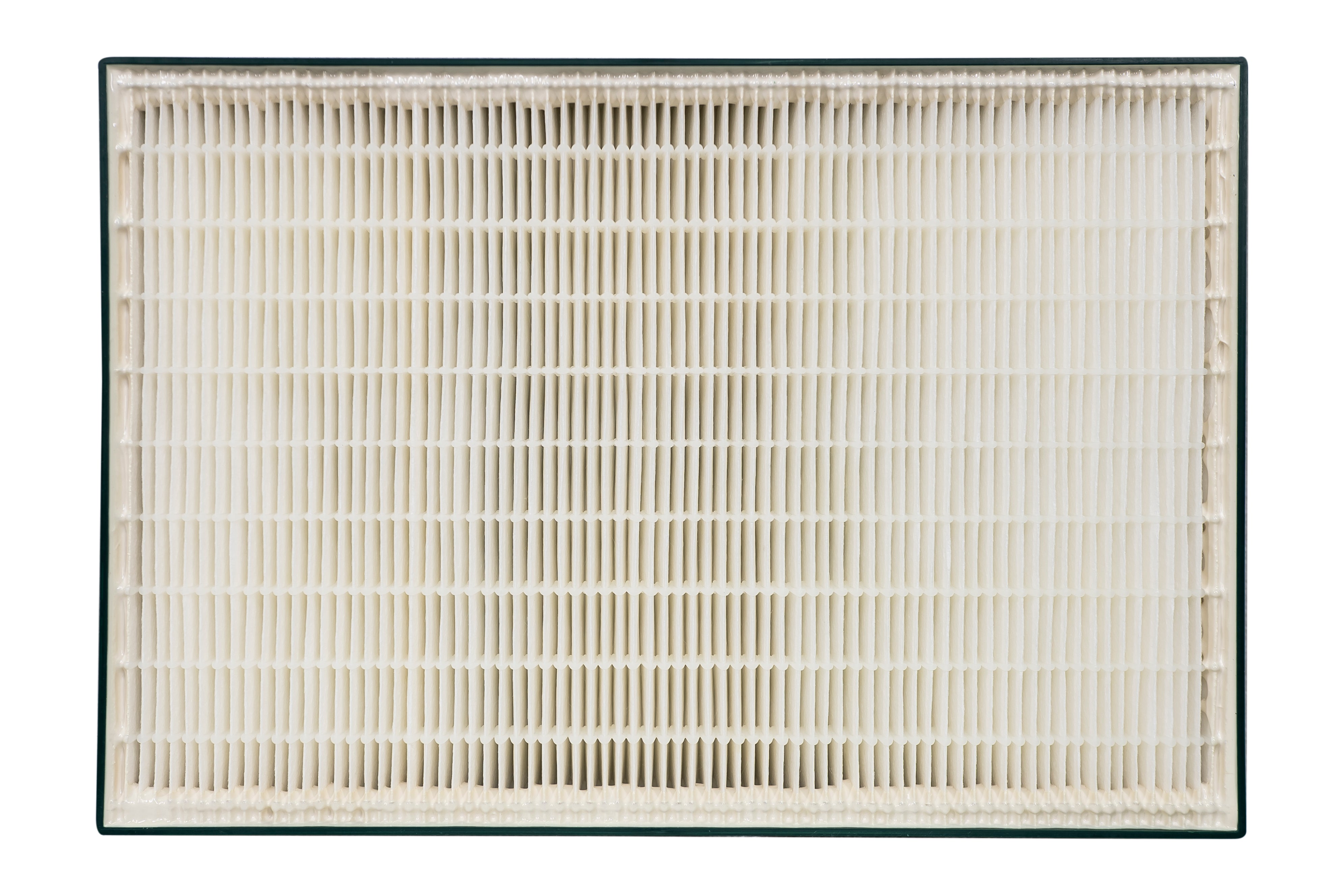 Hunter True HEPA QuietFlo Replacement Filter 30938