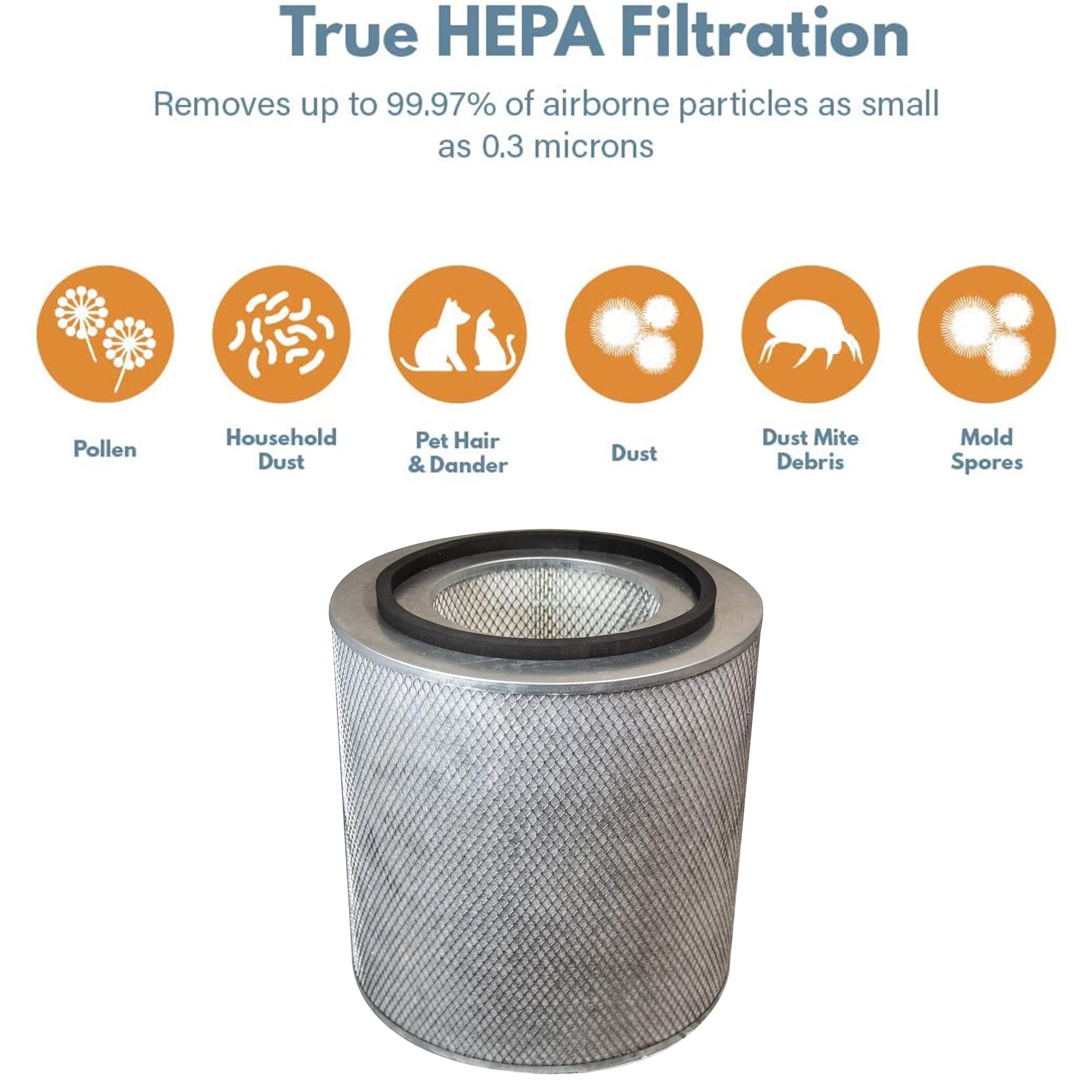 Filter-Monster True HEPA Replacement for Austin Air Healthmate Plus Filter
