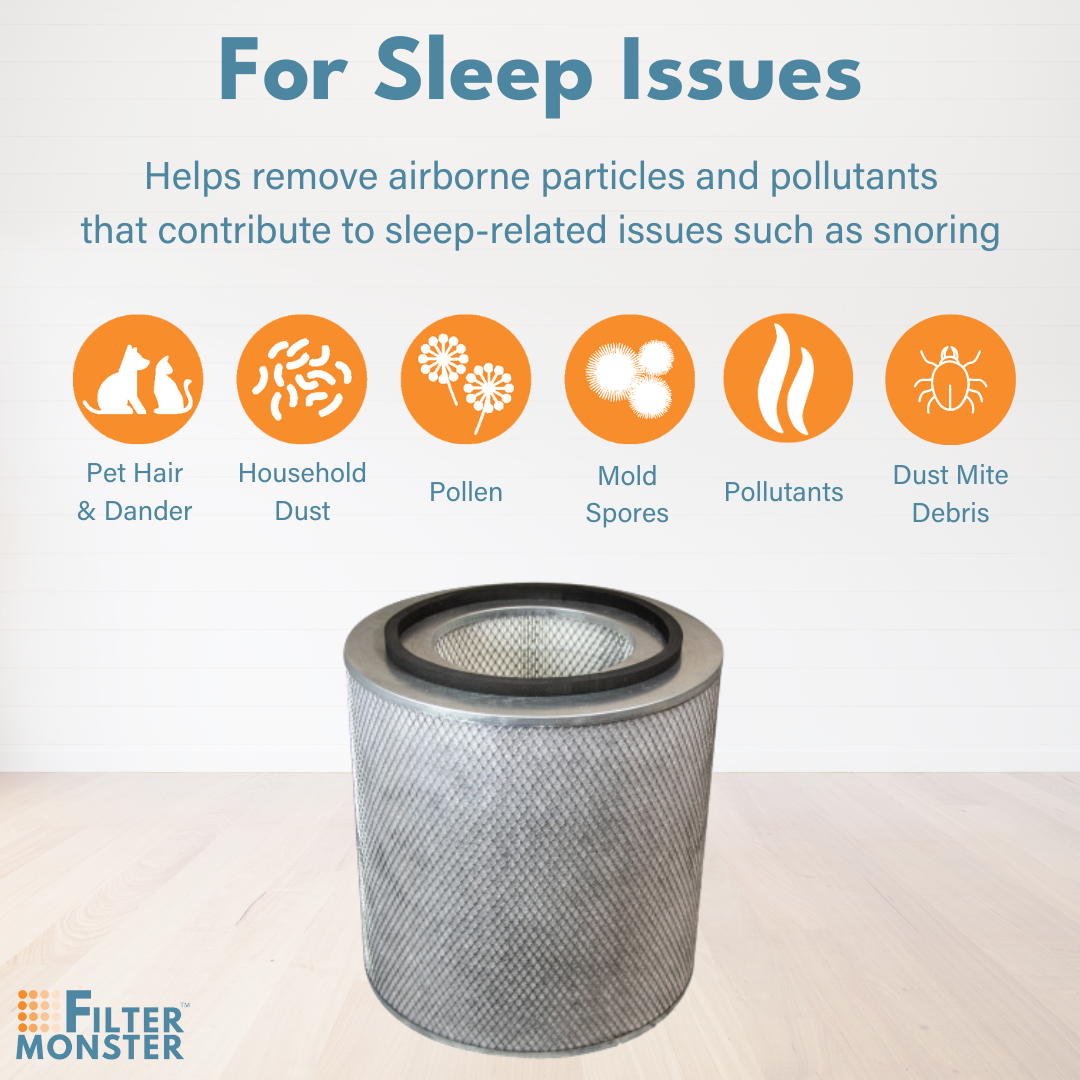 Filter-Monster True HEPA Replacement for Austin Air Healthmate Plus Filter