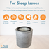 Filter-Monster True HEPA Replacement for Austin Air Healthmate Plus Filter