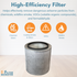 Filter-Monster True HEPA Replacement for Austin Air Healthmate Plus Filter