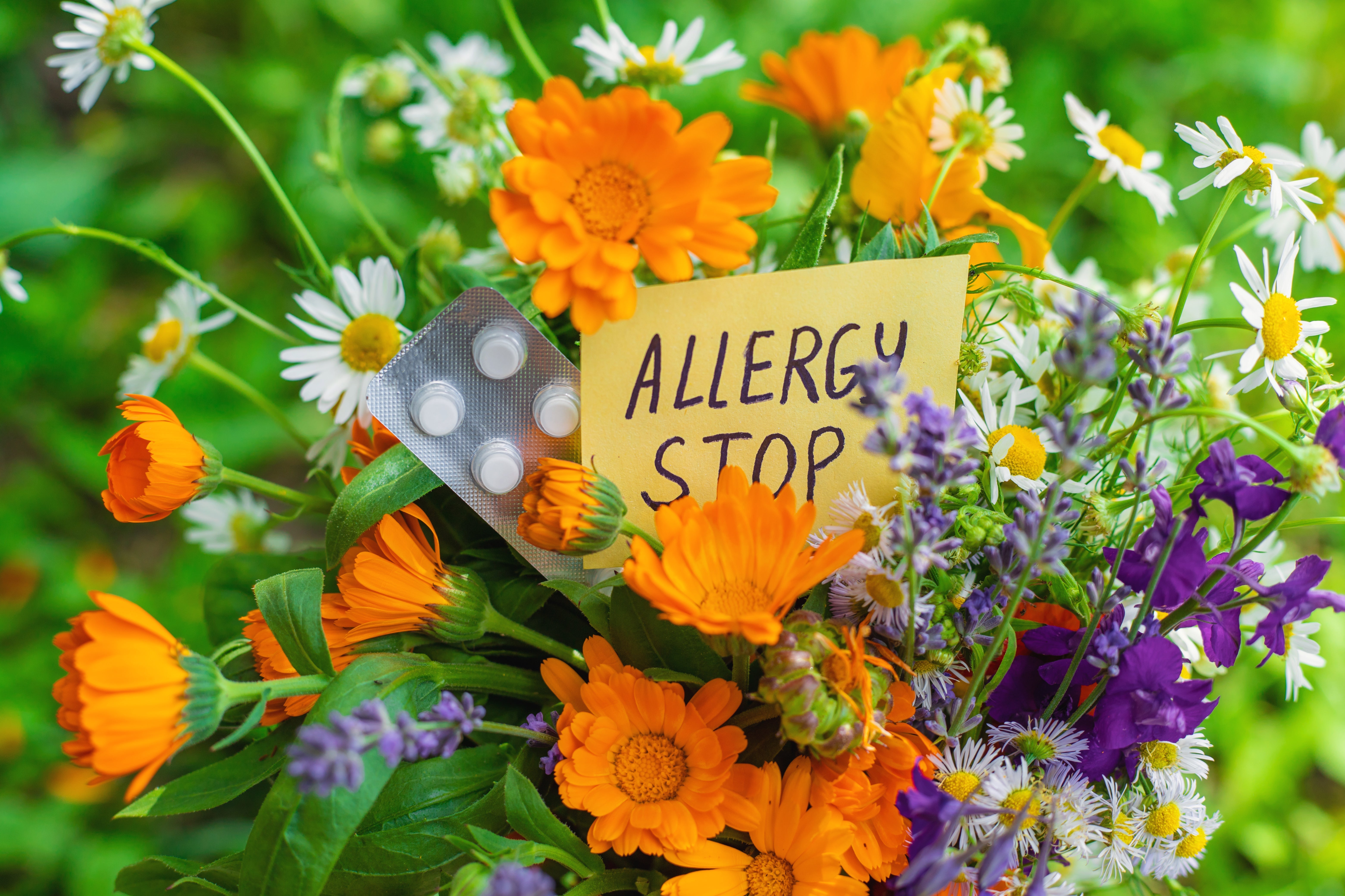 Allergy season is here again, and your house should be your sanctuary.