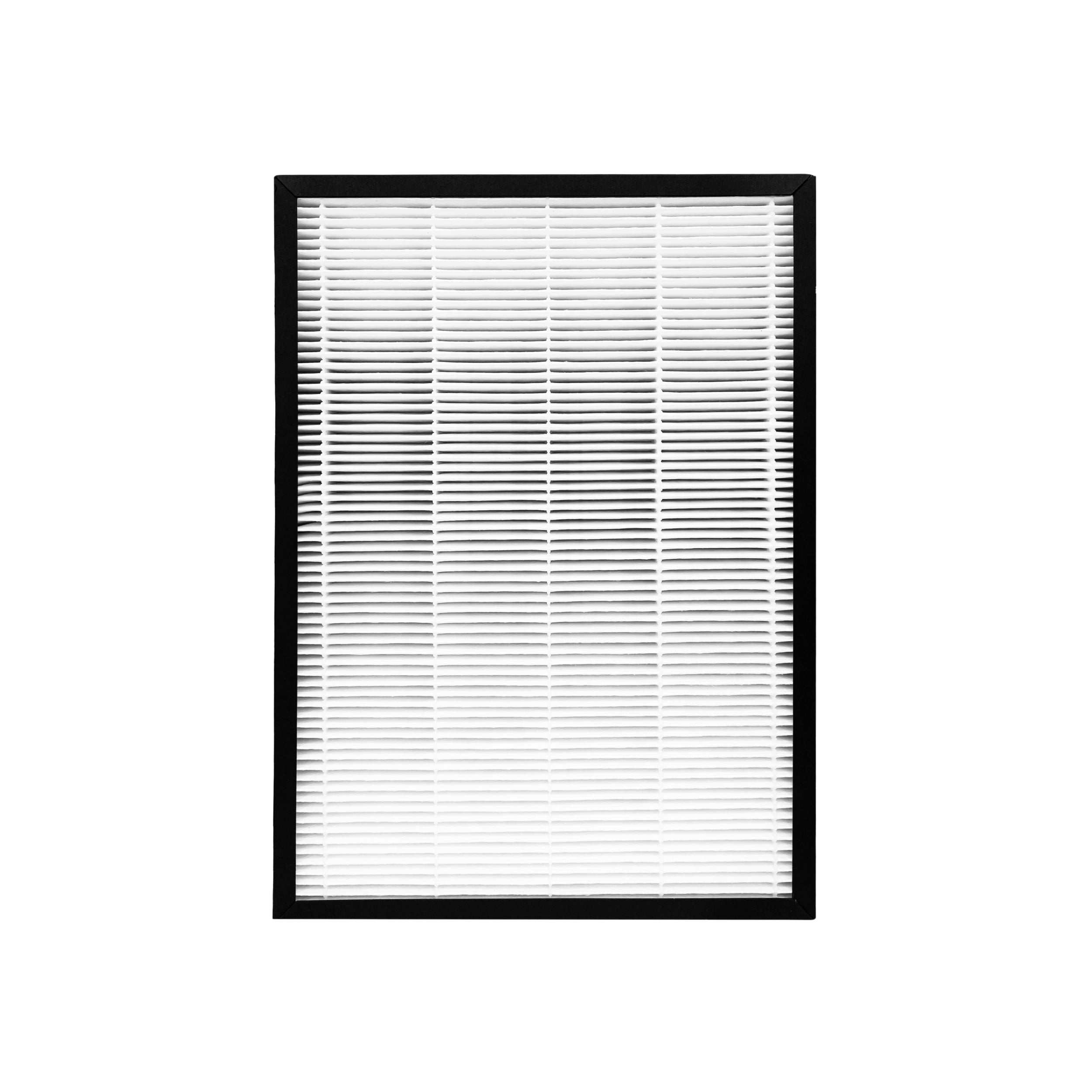 Hunter HEPAtech Replacement Filter 30616