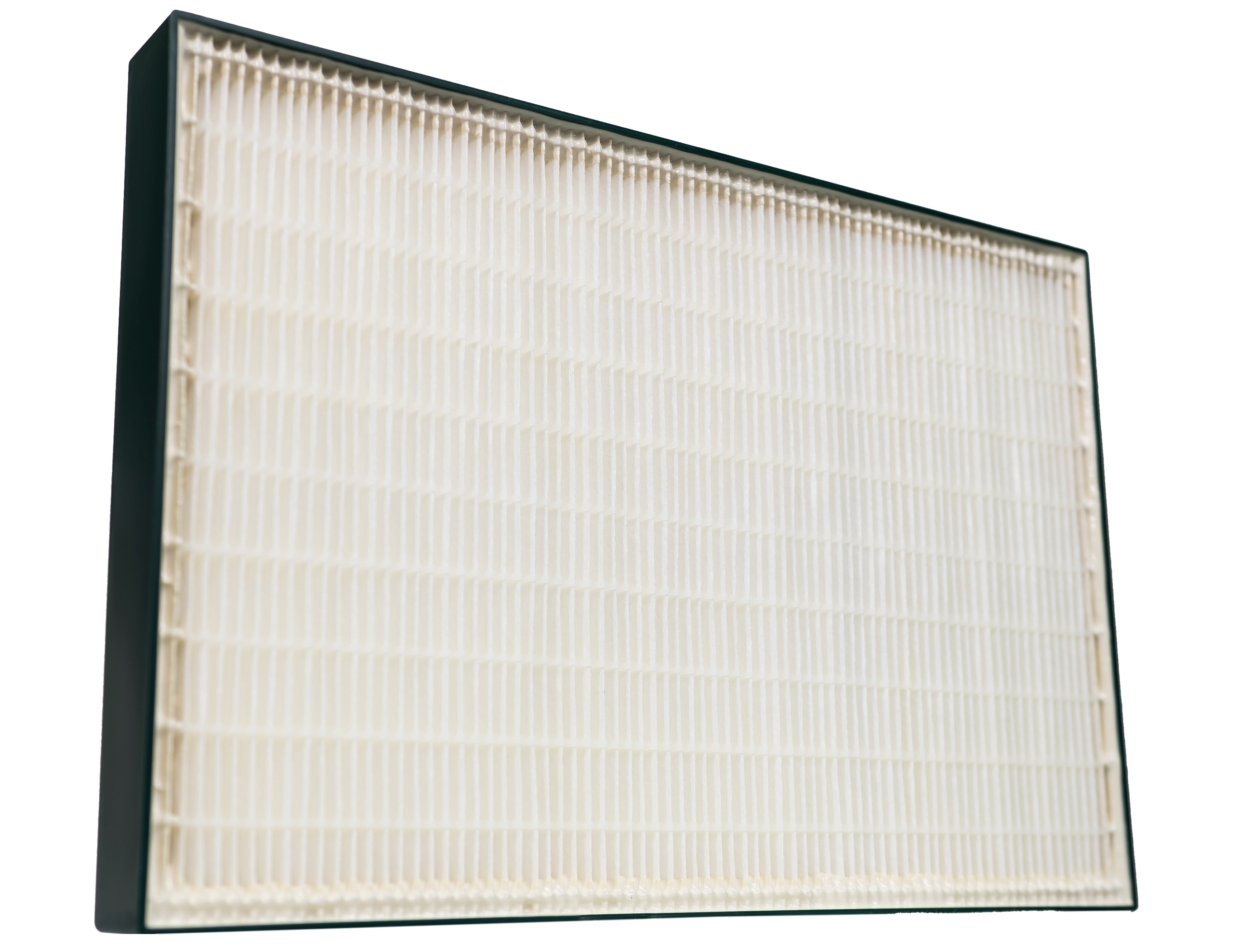 Hunter True HEPA QuietFlo Replacement Filter 30938