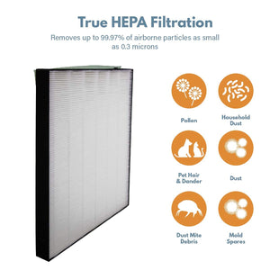 Filter-Monster True HEPA Replacement for Bissell 2521 Filter