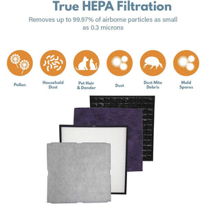 Filter-Monster True HEPA Replacement for Rabbit Air MinusA2 Filter Kit