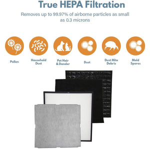 Filter-Monster True HEPA Replacement for Rabbit Air MinusA2 Filter Kit