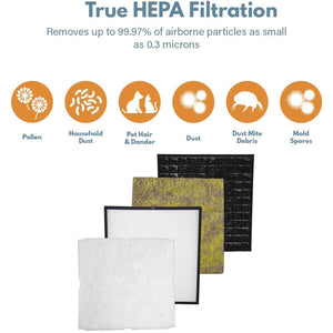 Filter-Monster True HEPA Replacement for Rabbit Air MinusA2 Filter Kit