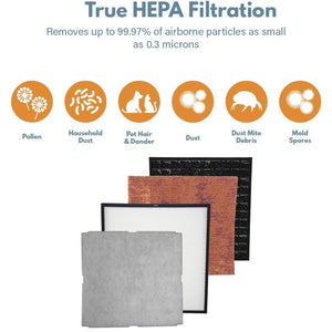 Filter-Monster True HEPA Replacement for Rabbit Air MinusA2 Filter Kit