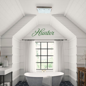 Hunter Ellipse 100 CFM Ceiling Exhaust Bath Fan with Light and Night Light