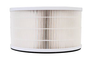 LivePure True HEPA Replacement Filter for LP500APHTR