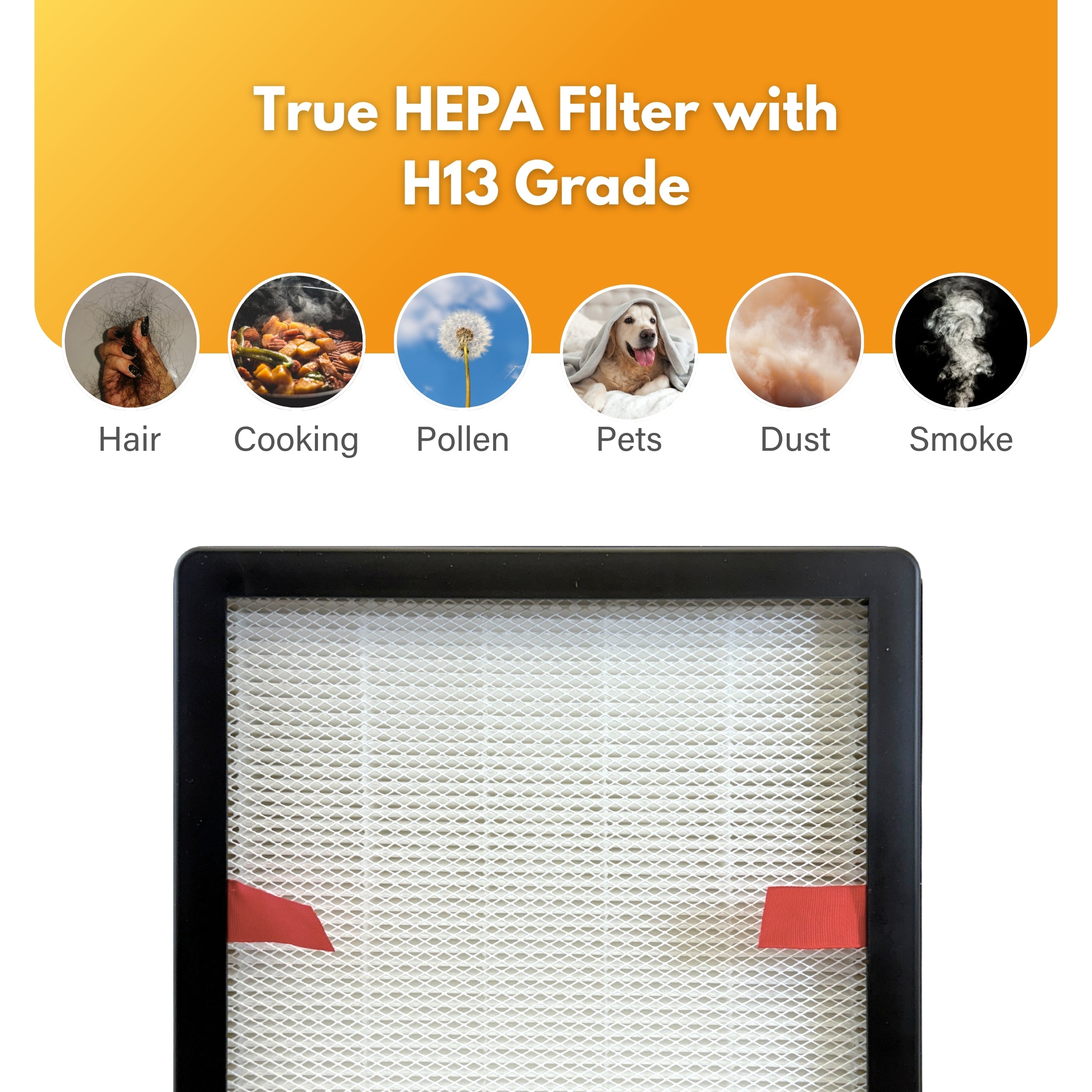 Filter-Monster Replacement Filter Compatible with Aeris Aair Indoor Air Purifier