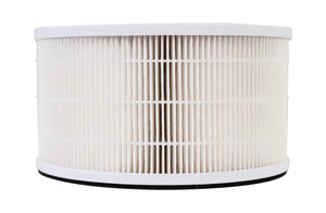 Airvana True HEPA Replacement Filter for AV500APHTR & AV520APHTR