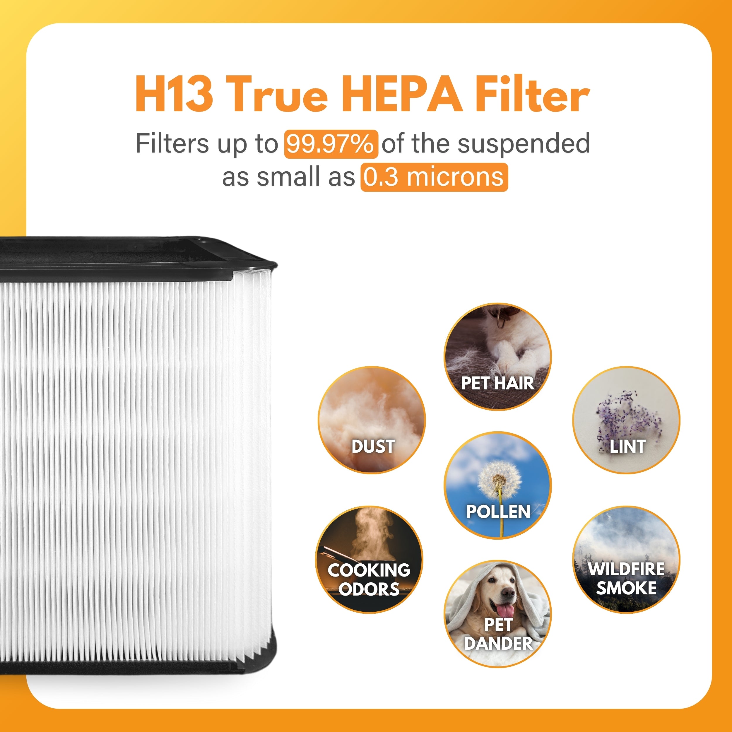 Filter-Monster HEPA Filter Replacement Compatible with Blueair Blue Pure 211+ Air Purifier