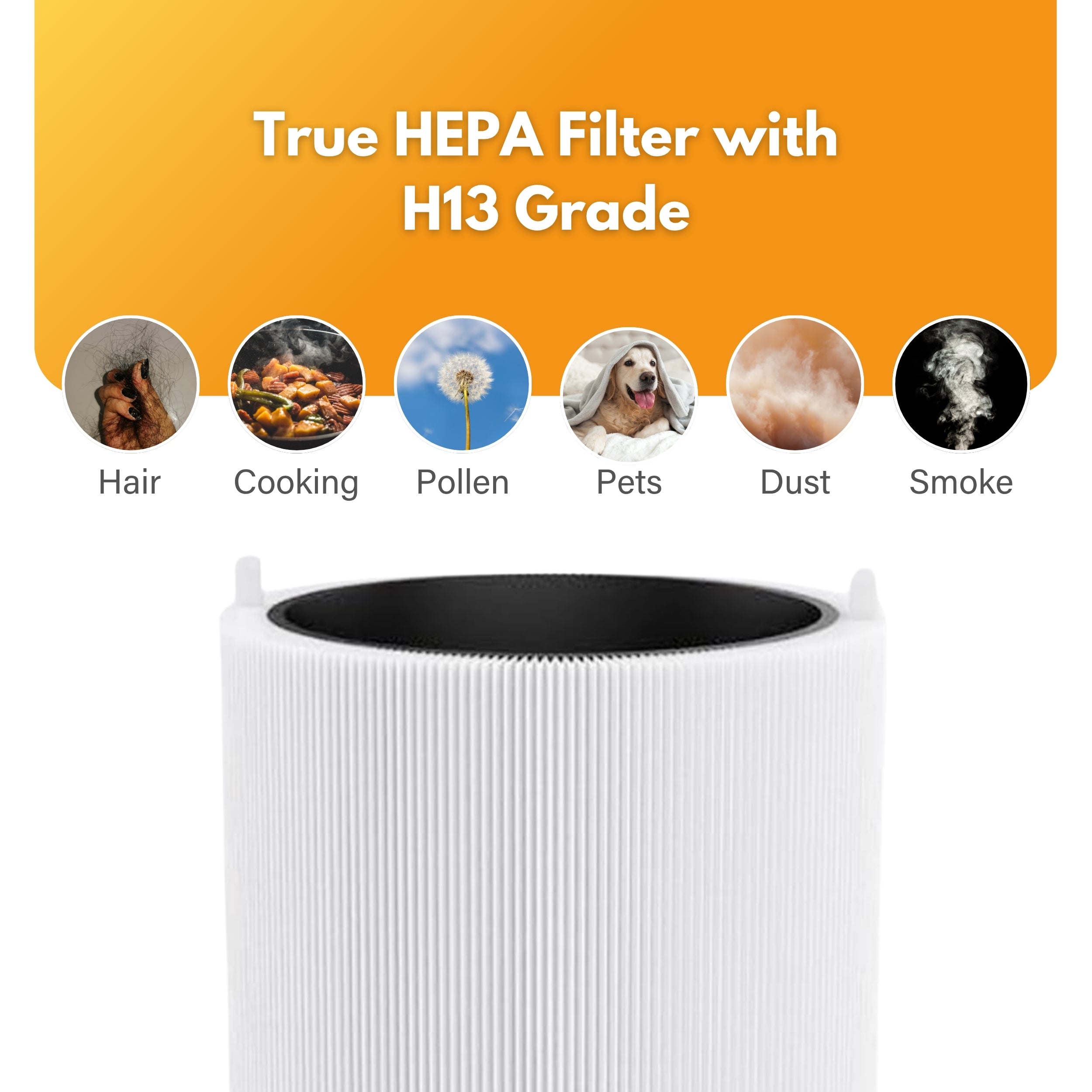 Filter-Monster HEPA Filter Replacement Compatible with Blueair Blue Pure 311 Auto Air Purifier