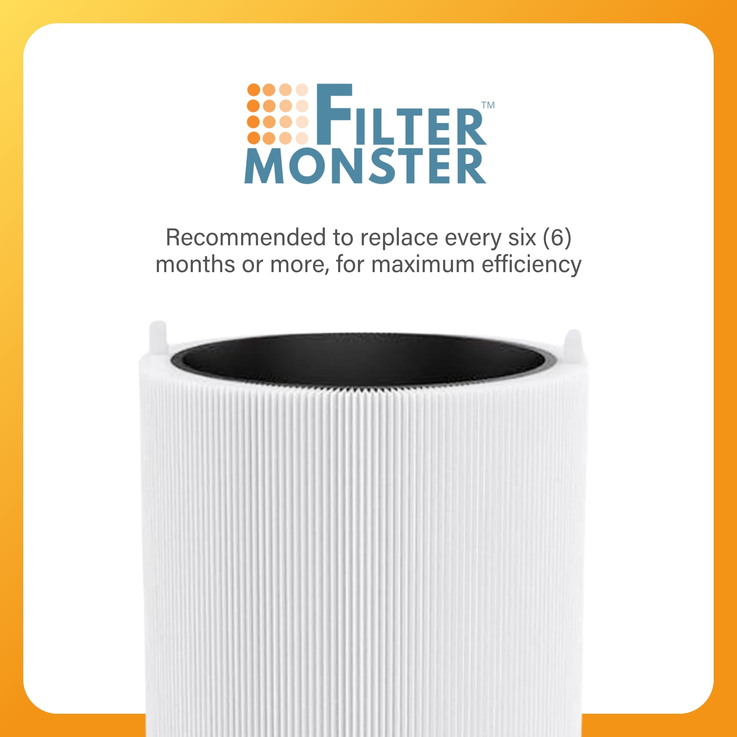 Filter-Monster HEPA Filter Replacement Compatible with Blueair Blue Pure 311 Auto Air Purifier