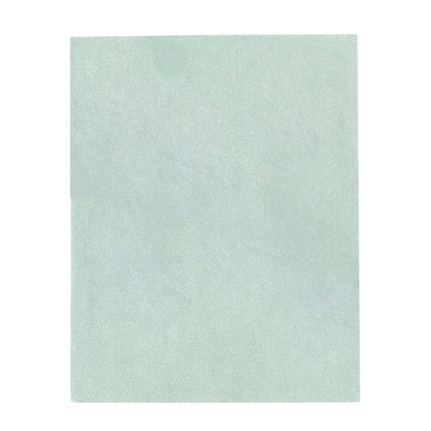 Filter-Monster Replacement Filter Pack for Bissell 2520/2521 Filters