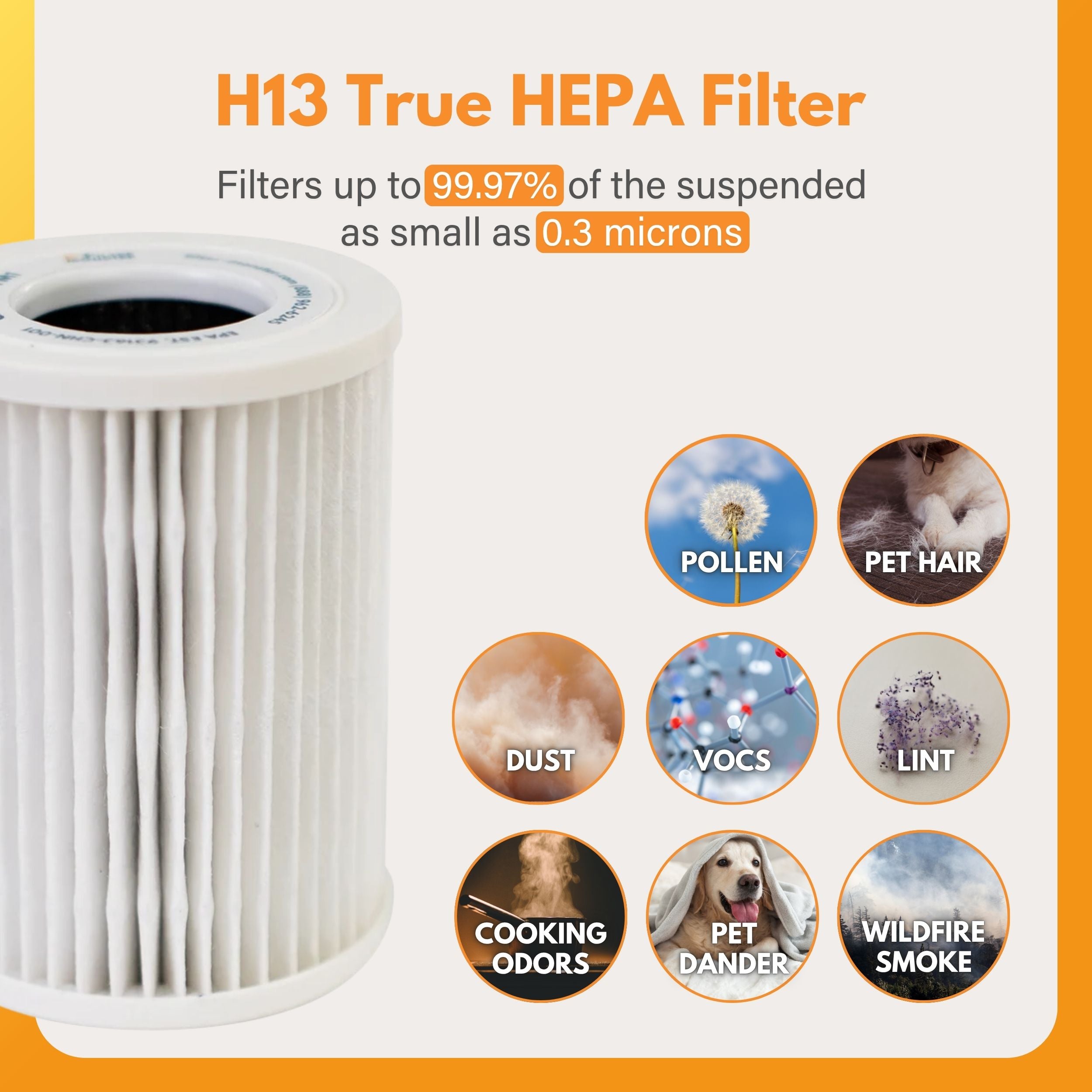Filter-Monster Replacement 2 Pack for Comfort Zone HC filters