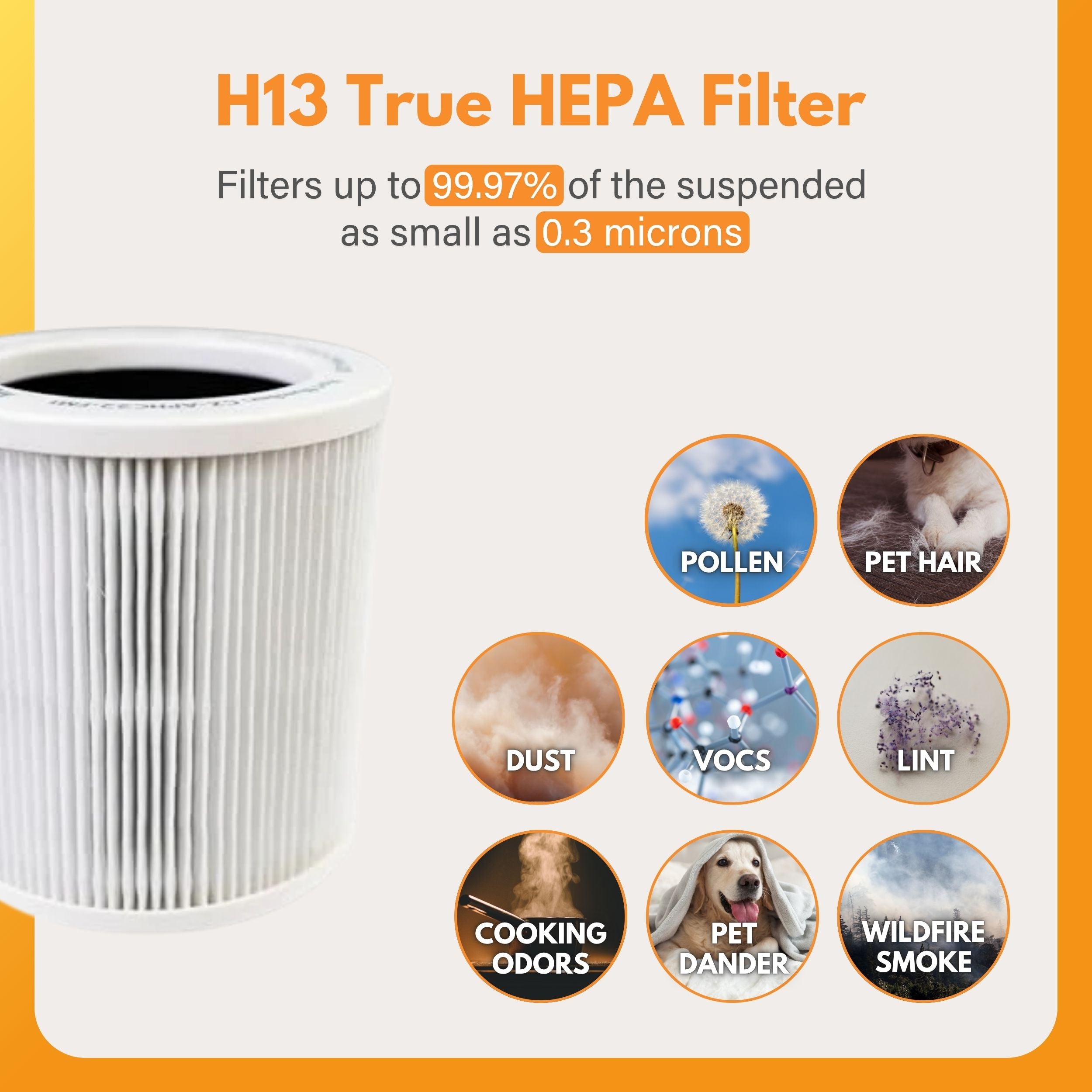 Filter-Monster Replacement 2 Pack for Comfort Zone H2 filters