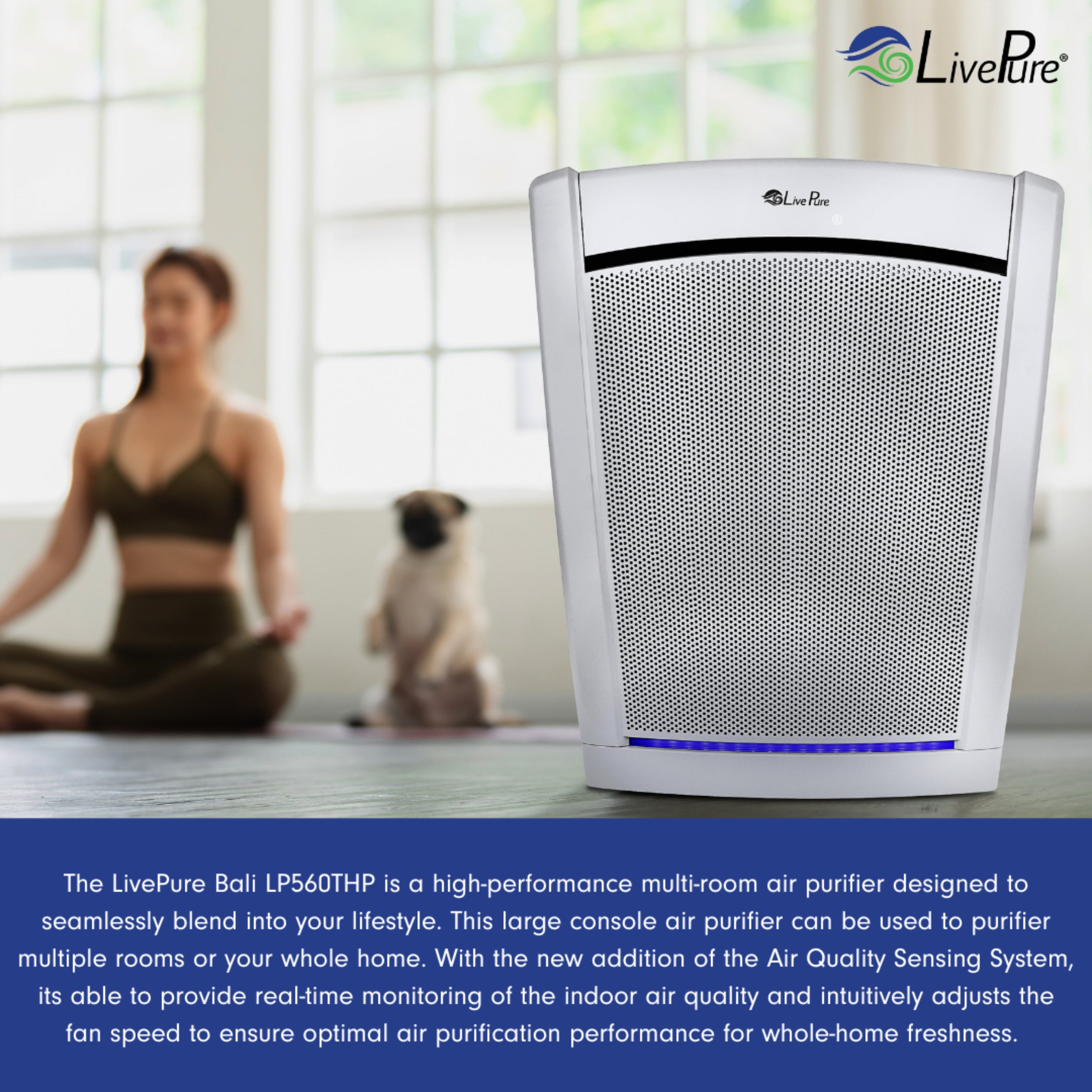 LivePure Bali Series Multi-Room True HEPA Air Purifier with Air Quality Sensing System LP560THP