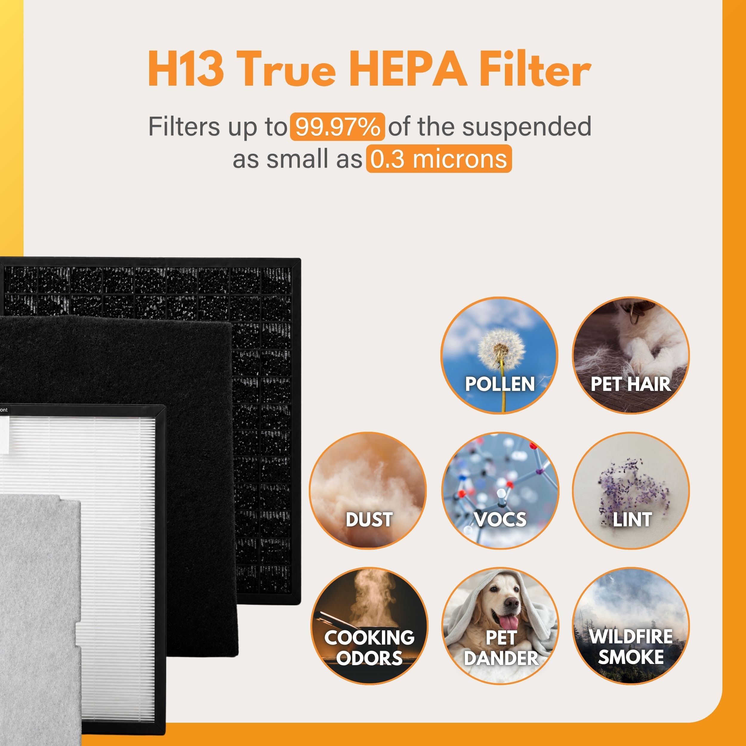 Filter-Monster Replacement for Rabbit Air MinusA2 Customized Filter