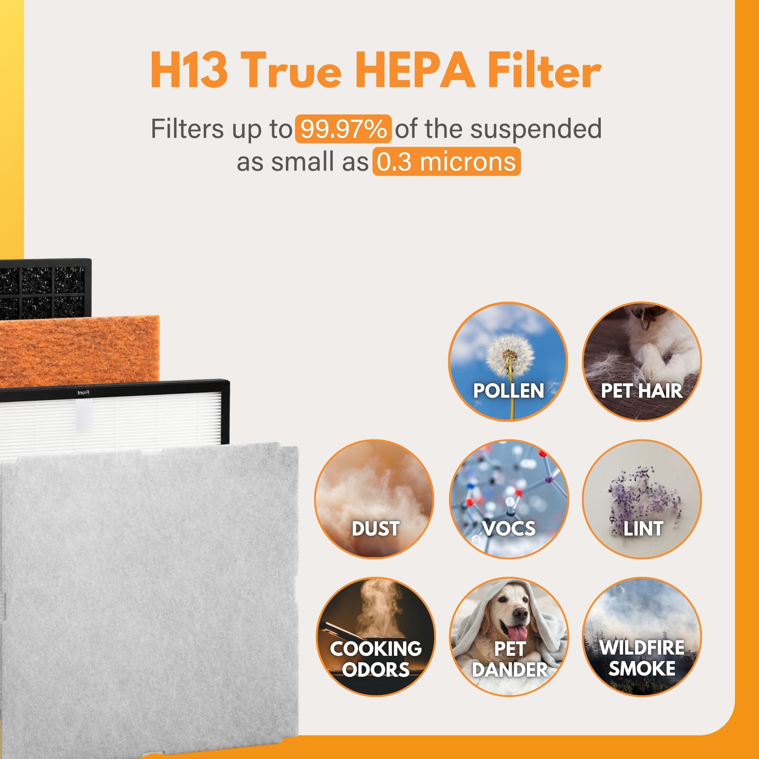Filter-Monster Replacement for Rabbit Air MinusA2 Customized Filter