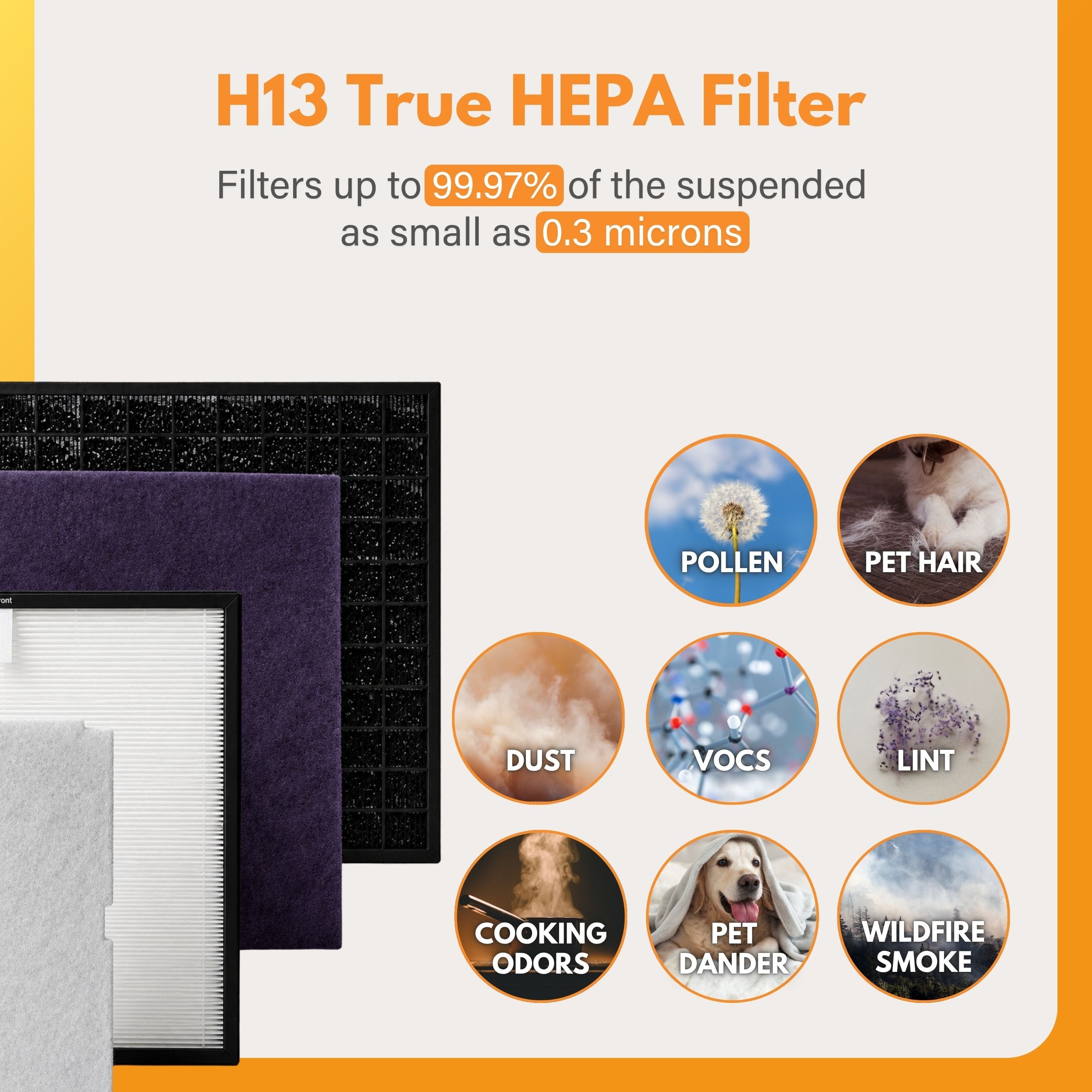 Filter-Monster Replacement for Rabbit Air MinusA2 Customized Filter