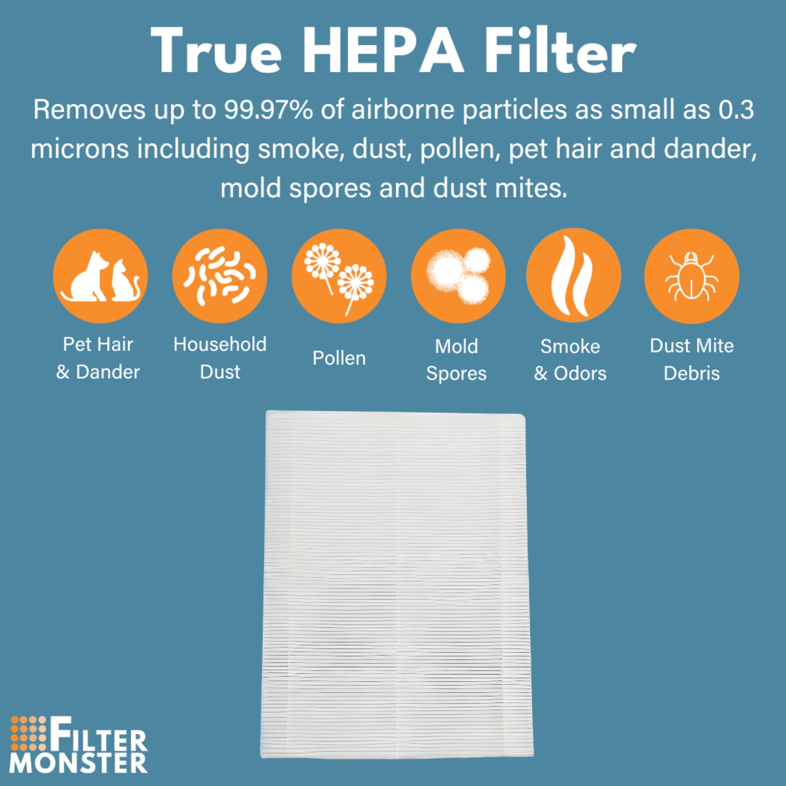 Filter-Monster True HEPA Replacement for Winix A Filter + 4 Carbon Pre-Filters