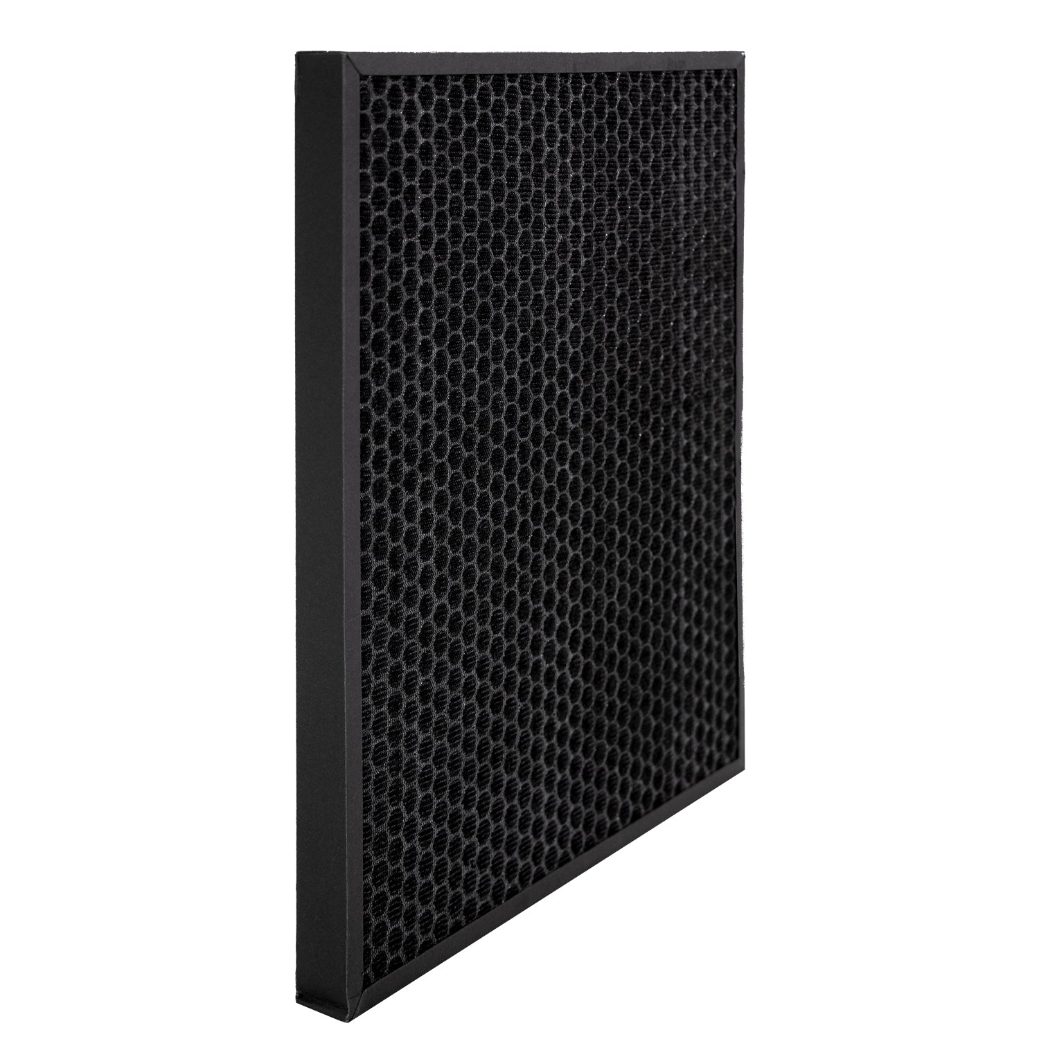 Carbon Replacement for Bissell 2520 Filter