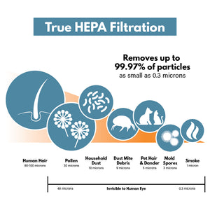 HEPA filter graphic showing HEPA effectiveness. True HEPA Filtration removes up to 99.97% of particles as small as .3 microns such as hair, pollen, house hold dust, dust mite debris, pet hair and dander, mold spores, and smoke from the air.
